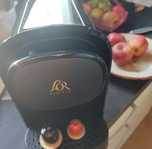 Zen Clim Piscine * Mérignac